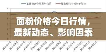 面粉价格今日行情，最新动态、影响因素分析一览表