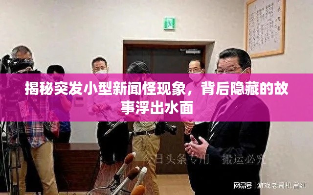 揭秘突发小型新闻怪现象，背后隐藏的故事浮出水面