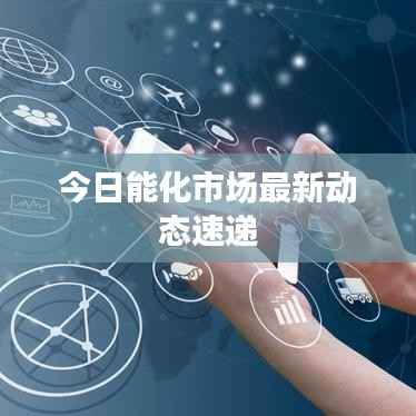 今日能化市场最新动态速递
