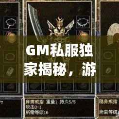 GM私服独家揭秘，游戏世界的独特魅力探索