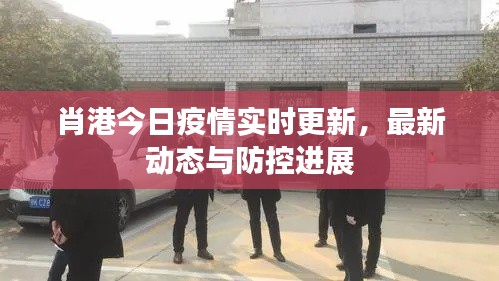 肖港今日疫情实时更新，最新动态与防控进展