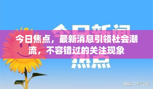 今日焦点，最新消息引领社会潮流，不容错过的关注现象