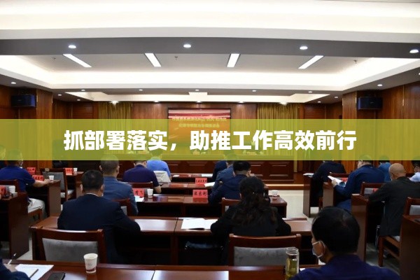 抓部署落实，助推工作高效前行