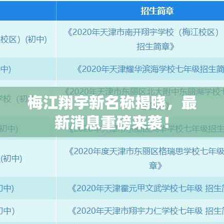 梅江翔宇新名称揭晓，最新消息重磅来袭！