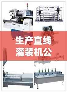生产直线灌装机公司排行榜及行业影响力解析