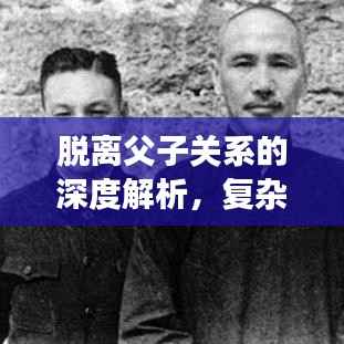 脱离父子关系的深度解析，复杂议题与百度指引解读