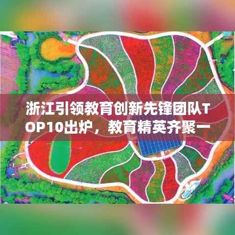 浙江引领教育创新先锋团队TOP10出炉，教育精英齐聚一堂！
