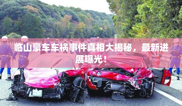 临山豪车车祸事件真相大揭秘，最新进展曝光！