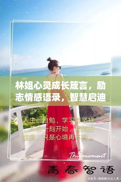 林姐心灵成长箴言，励志情感语录，智慧启迪心灵之路