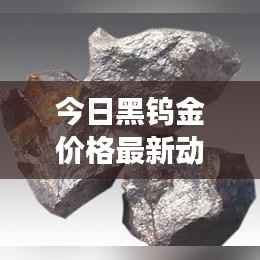 今日黑钨金价格最新动态，市场走势一网打尽