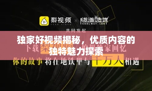 独家好视频揭秘，优质内容的独特魅力探索