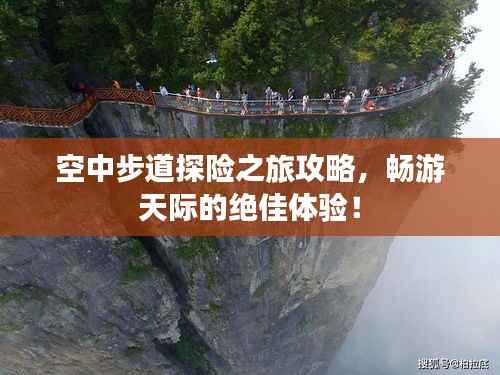 空中步道探险之旅攻略，畅游天际的绝佳体验！