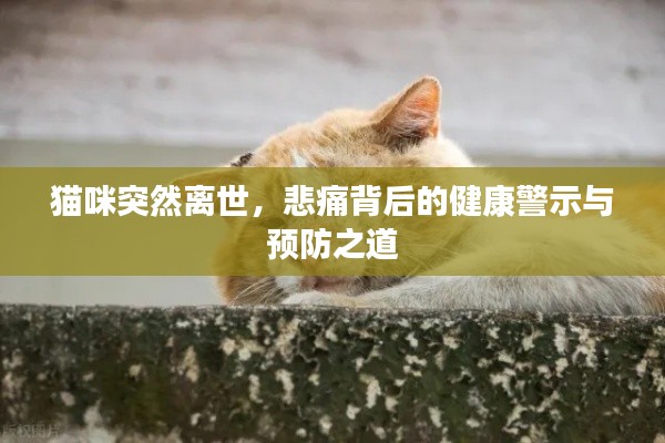 猫咪突然离世，悲痛背后的健康警示与预防之道