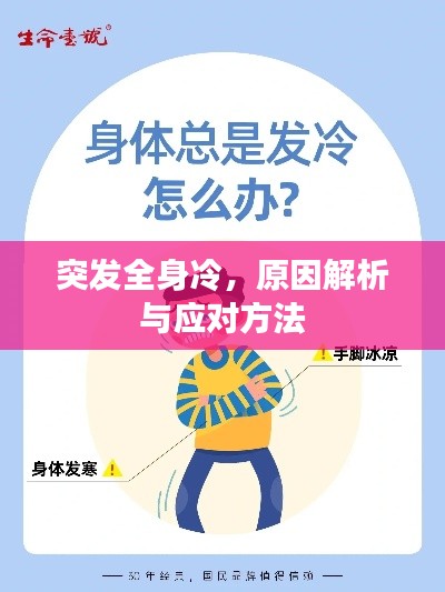突发全身冷，原因解析与应对方法