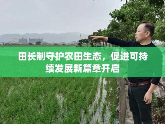田长制守护农田生态，促进可持续发展新篇章开启