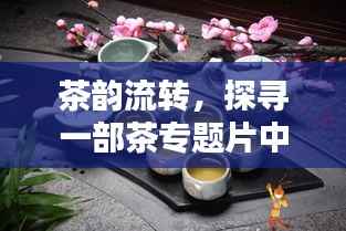 茶韵流转，探寻一部茶专题片中的人文情怀