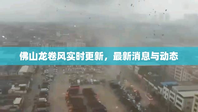 佛山龙卷风实时更新，最新消息与动态