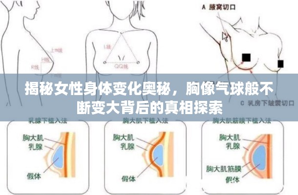 揭秘女性身体变化奥秘，胸像气球般不断变大背后的真相探索
