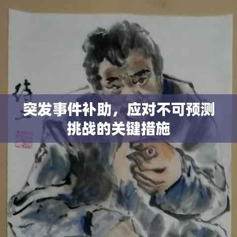 突发事件补助，应对不可预测挑战的关键措施