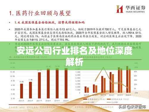 安远公司行业排名及地位深度解析