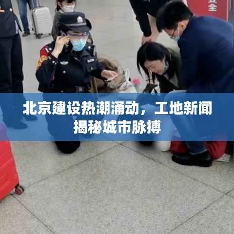 北京建设热潮涌动，工地新闻揭秘城市脉搏