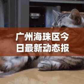 广州海珠区今日最新动态报道