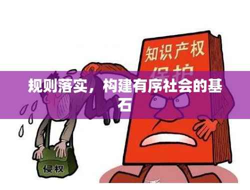 规则落实，构建有序社会的基石