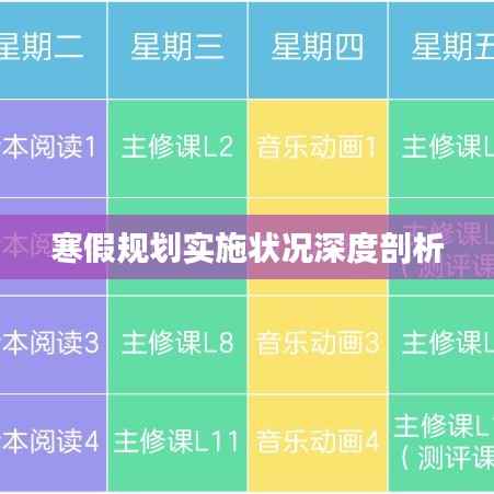 寒假规划实施状况深度剖析