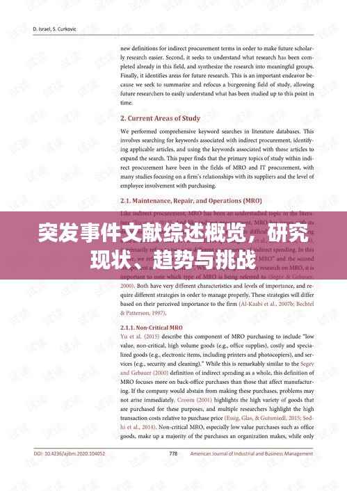 突发事件文献综述概览，研究现状、趋势与挑战