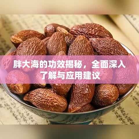胖大海的功效揭秘，全面深入了解与应用建议