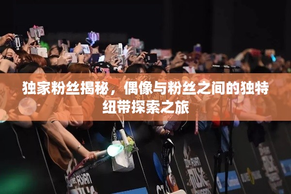 独家粉丝揭秘，偶像与粉丝之间的独特纽带探索之旅