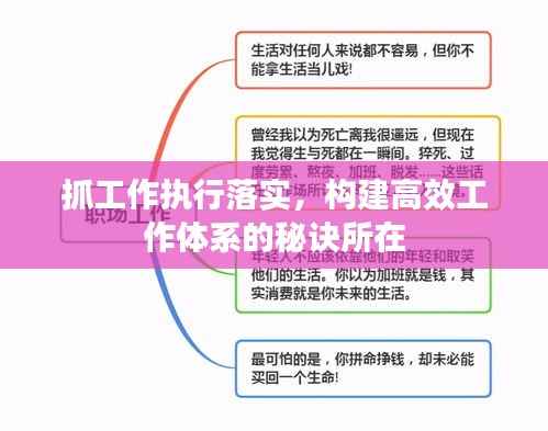 抓工作执行落实，构建高效工作体系的秘诀所在