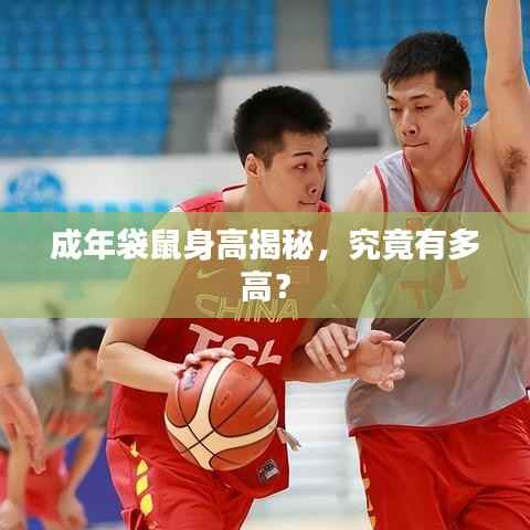 成年袋鼠身高揭秘，究竟有多高？