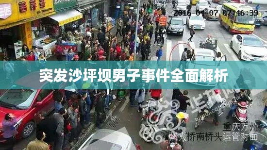 突发沙坪坝男子事件全面解析