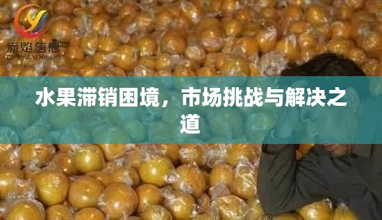 水果滞销困境，市场挑战与解决之道