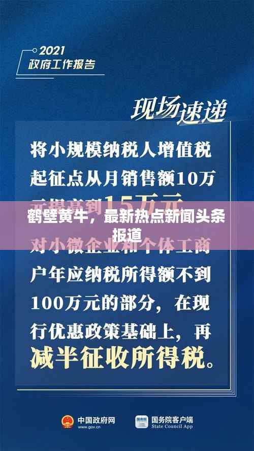 鹤壁黄牛，最新热点新闻头条报道