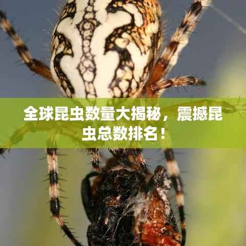 全球昆虫数量大揭秘，震撼昆虫总数排名！