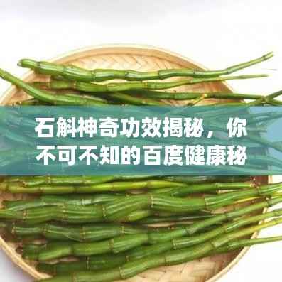 石斛神奇功效揭秘，你不可不知的百度健康秘籍！