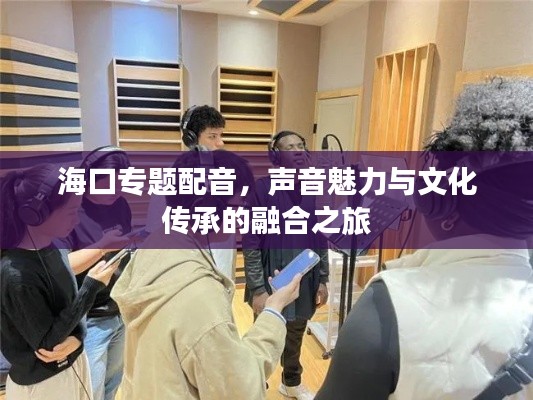 海口专题配音，声音魅力与文化传承的融合之旅