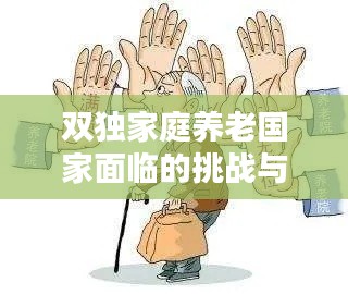 双独家庭养老国家面临的挑战与应对策略