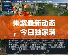 朱紫最新动态，今日独家消息揭秘