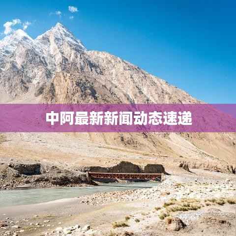中阿最新新闻动态速递