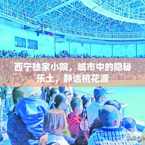 西宁独家小院，城市中的隐秘乐土，静谧桃花源