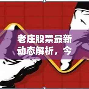 老庄股票最新动态解析，今日消息深度解读
