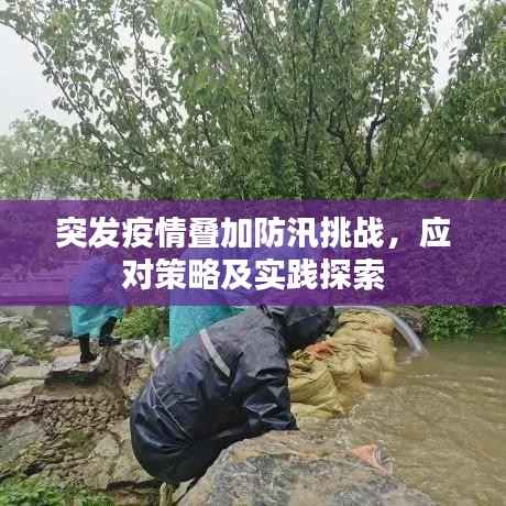 突发疫情叠加防汛挑战，应对策略及实践探索