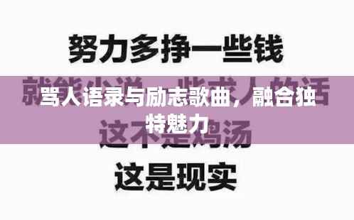 骂人语录与励志歌曲，融合独特魅力