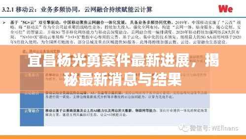 宜昌杨光勇案件最新进展，揭秘最新消息与结果