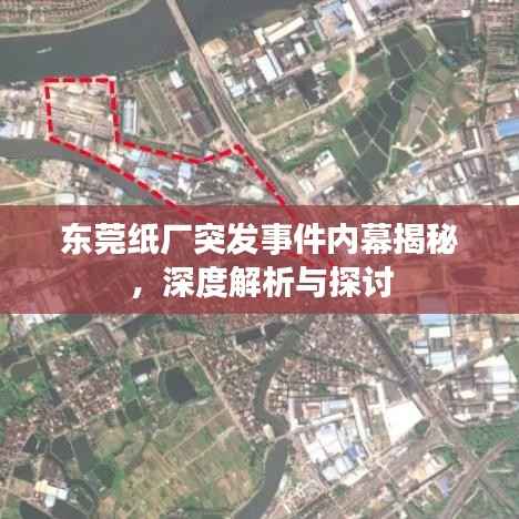 飞龙在天 第5页