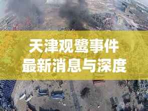 天津观鹭事件最新消息与深度解析，火灾现场及背后真相揭秘