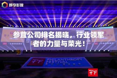 参茸公司排名揭晓，行业领军者的力量与荣光！